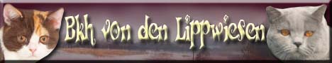Banner_Lippw2011