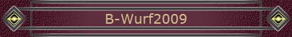 B-Wurf2009