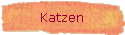 Katzen