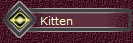 Kitten