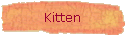 Kitten